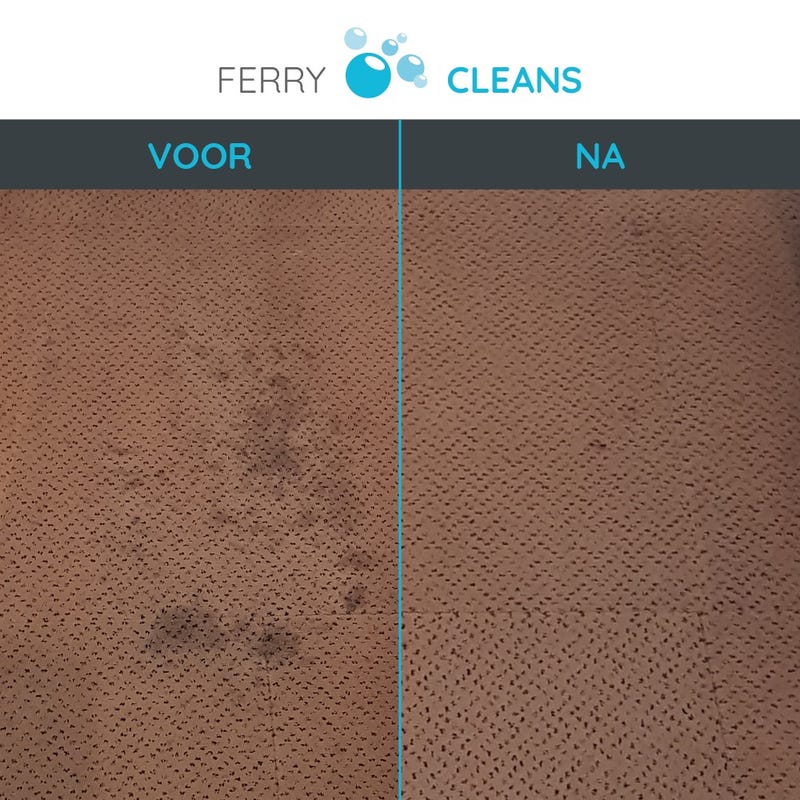 tapijt reinigen